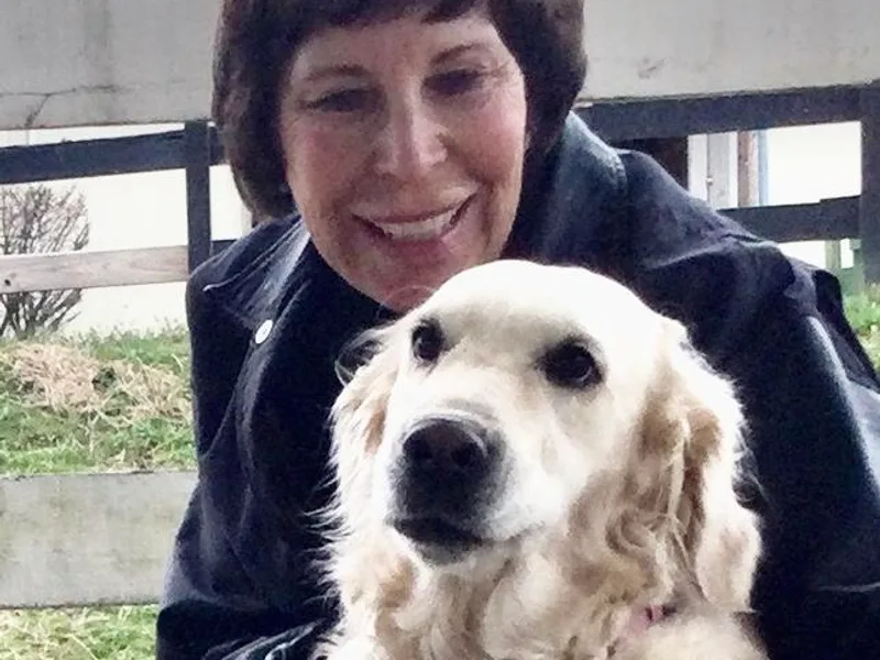 Knoxville Goldendoodles