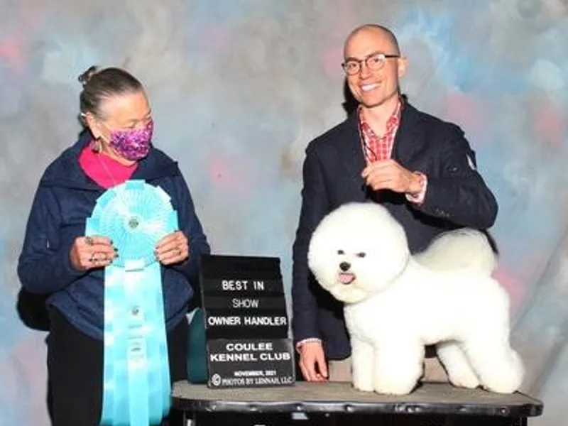 Knudsen Bichon Frise