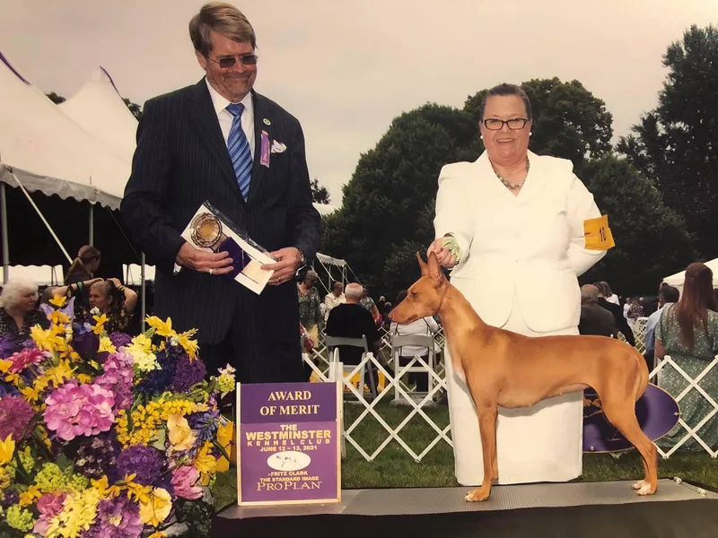 Kr’msun Hounds photo 1