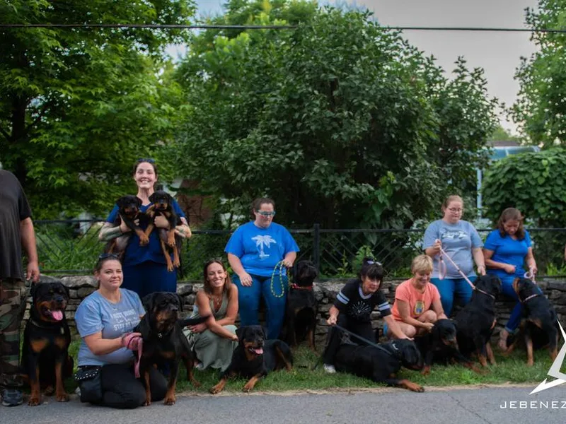 Krafthaus Rottweilers