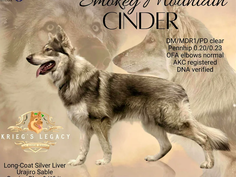 Krieg’s Legacy at Given Haven