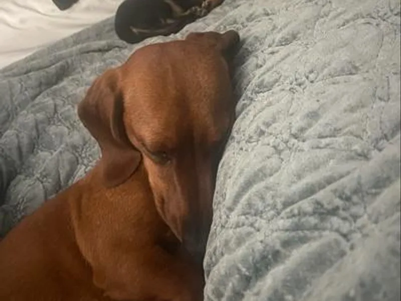 Kuhbander Stable Llc