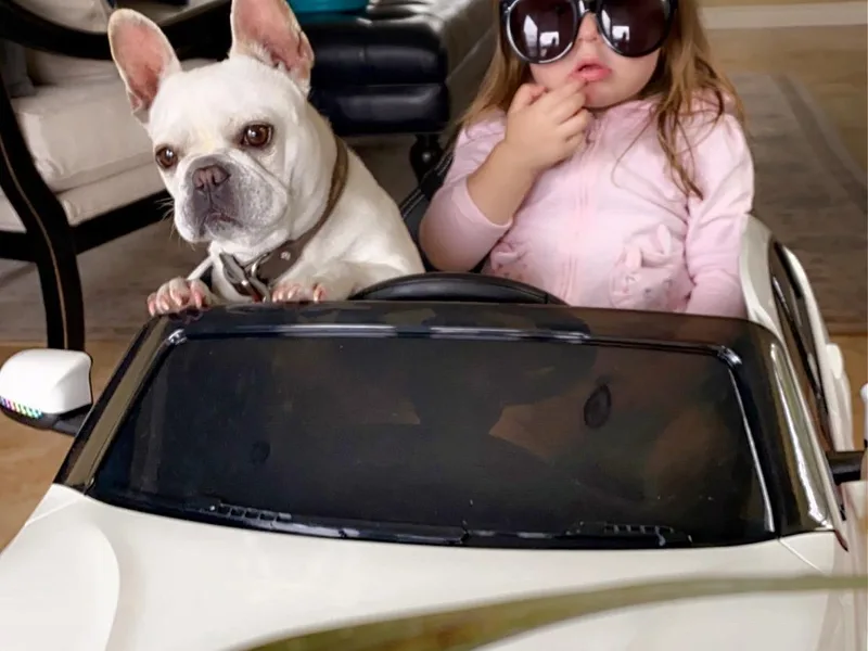 L.A. French Paws