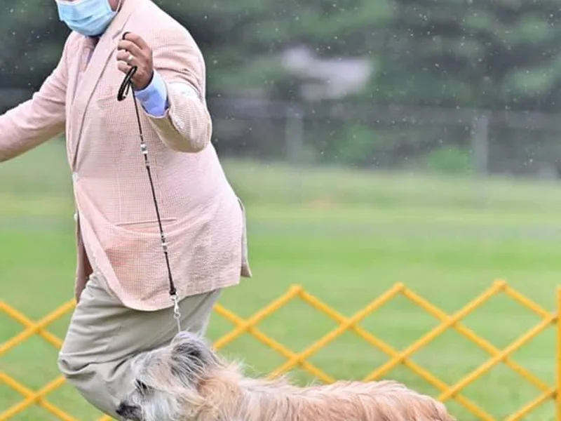 La Rive Pyr Sheps LLC