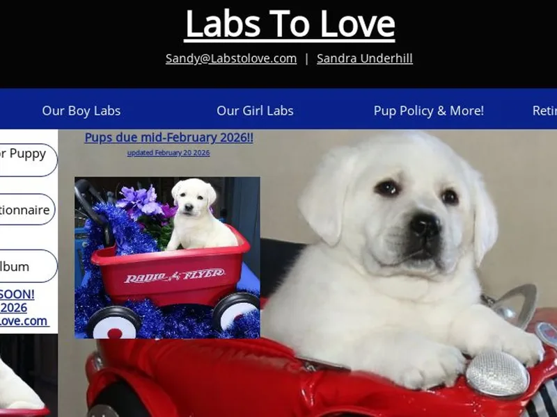 LabsToLove.com Sandra Underhill