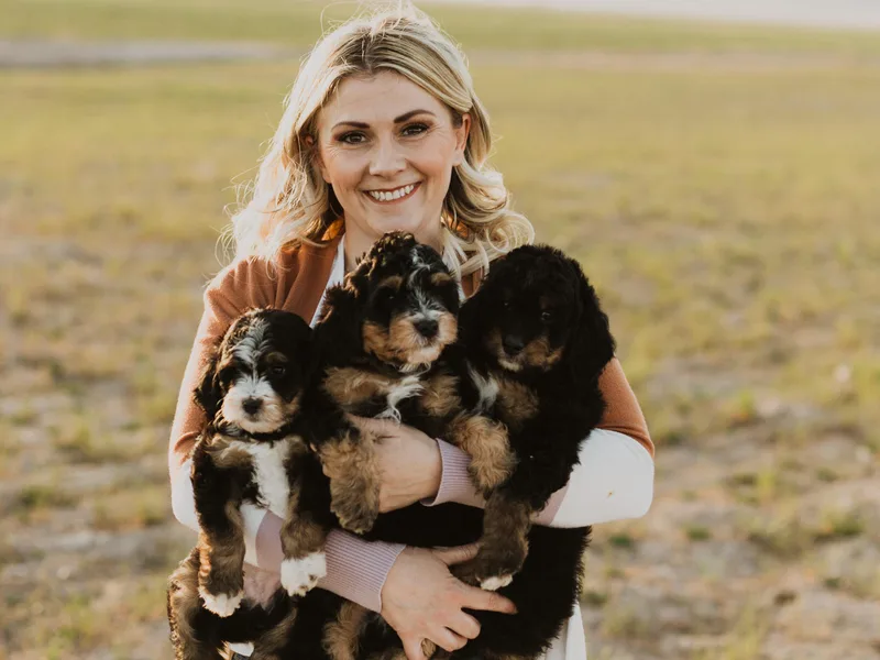 Lady Paws Puppies - Cassie