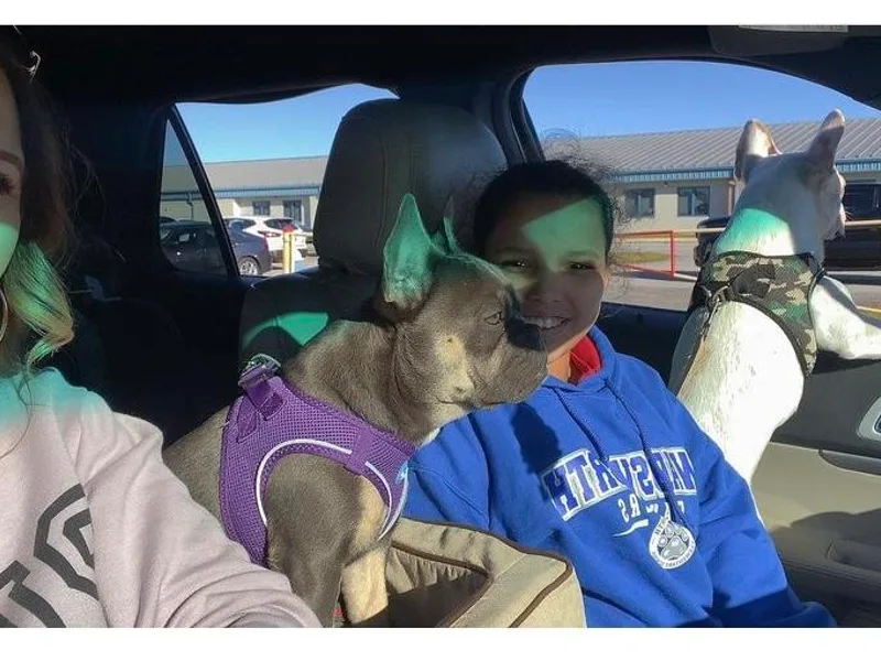 LaFlorida Frenchies