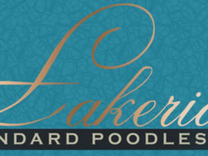 Lakeridge Standard Poodles