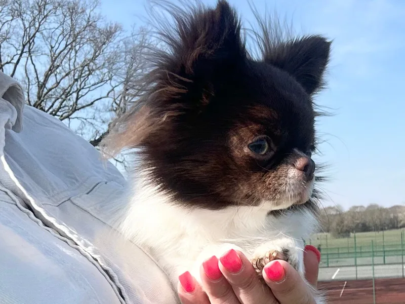 Lana  photo 1