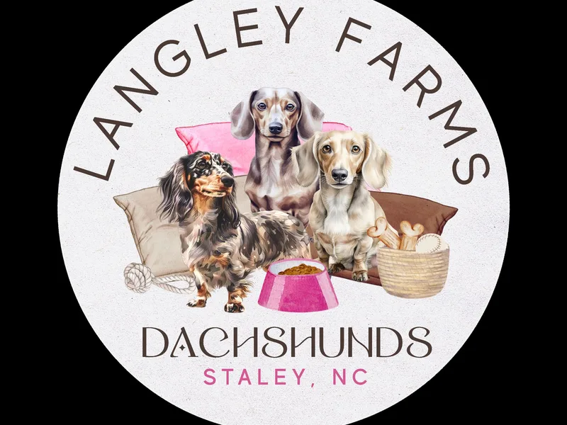 Langley Farms Dachshunds