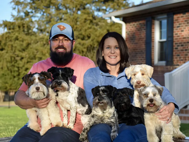 Lap Happy Schnauzers
