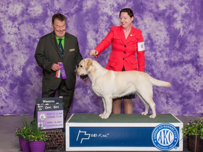 Laurie &amp; Joe's Labs