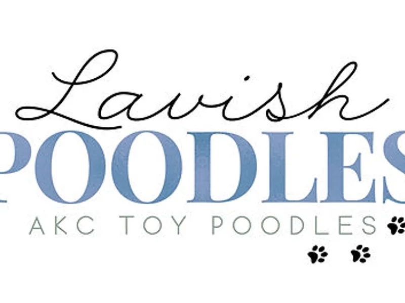 Lavish Poodles