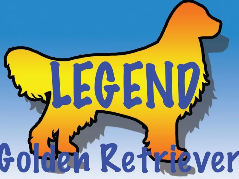 Legend Golden Retrievers