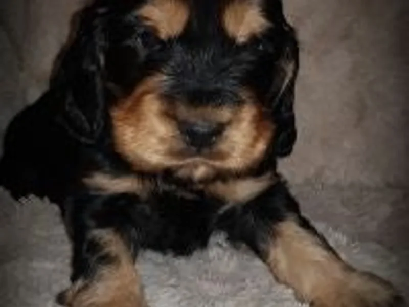 leona hibbert photo 1