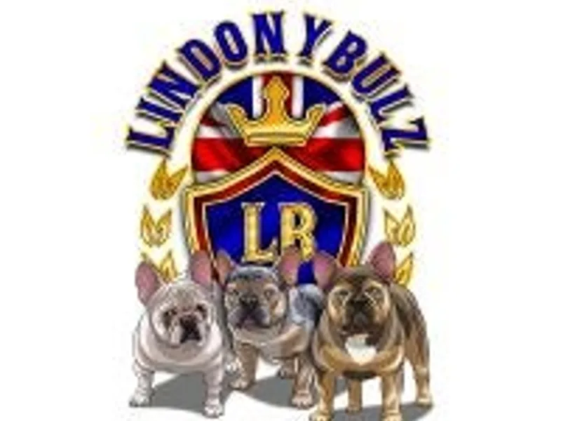 LINDONYBULZ photo 1