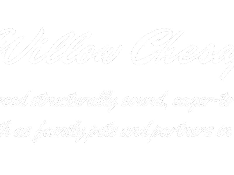 Lone Willow Chesapeakes