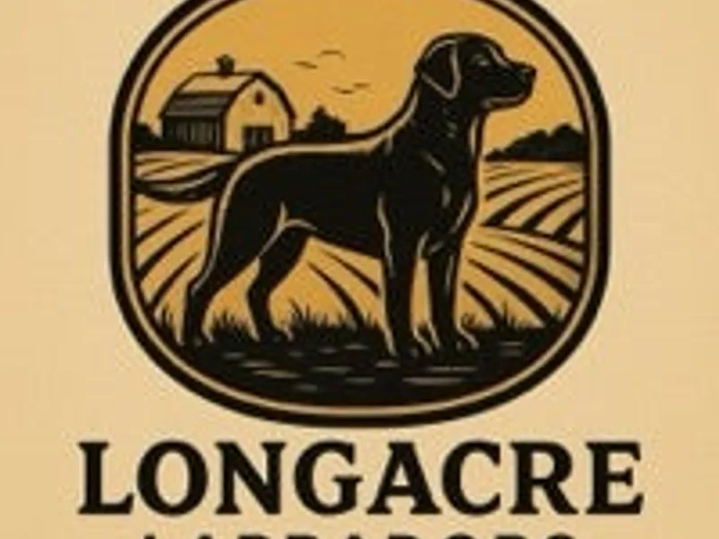 Longacre Labradors  photo 1