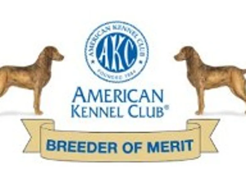 LongMeadow Kennels ~ AKC Breeder of Merit Sliver Level