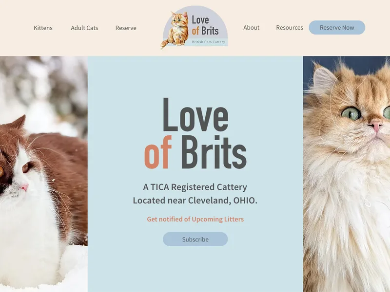 LoveOfBrits