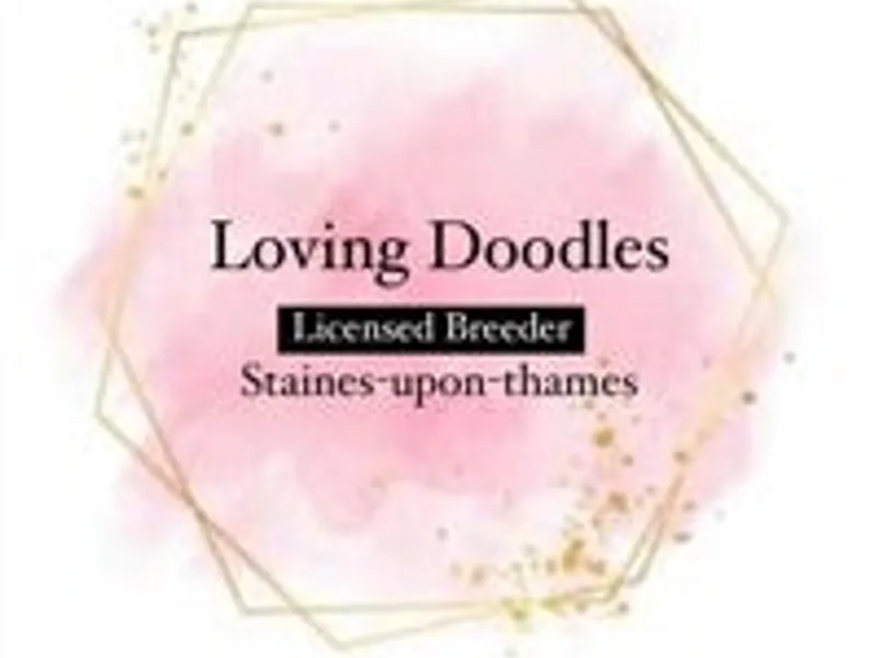 Lovingdoodles photo 1