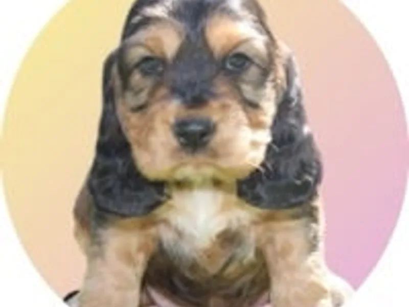 Lucy photo 1
