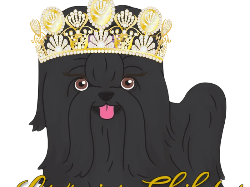 LUXURIOUS SHIH TZU