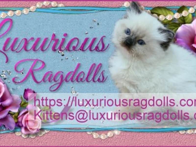 Luxuriousrags