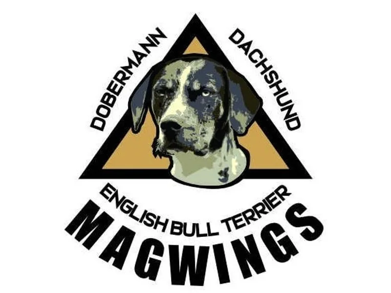 MagWings  photo 1