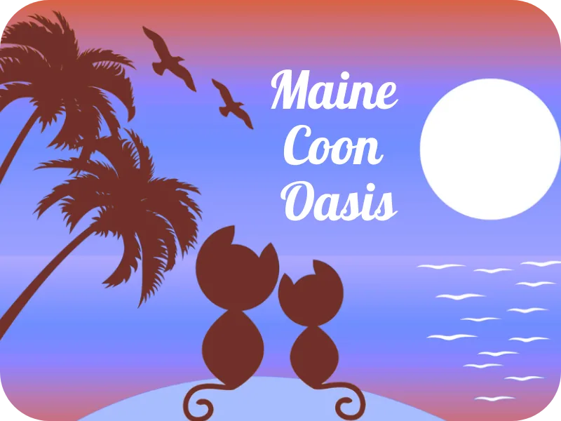 MaineCoonOasis