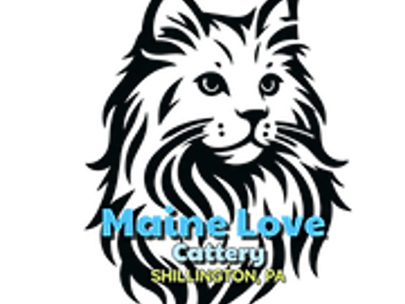 MAINELOVE photo 1