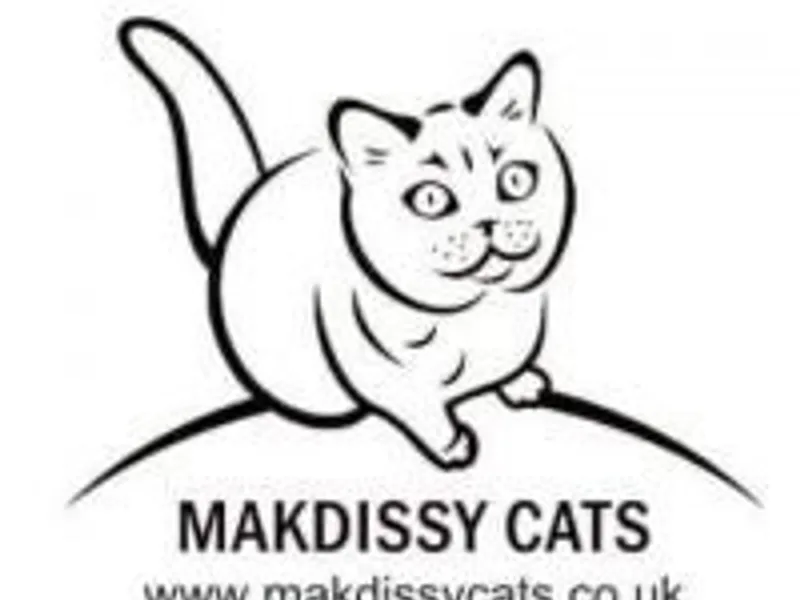 MAKDISSY photo 1
