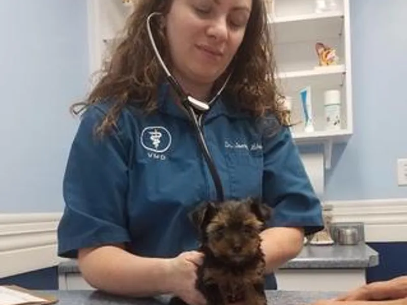 Maplewood Kennel (E-mail: maplewoodwv@aol.com) Phone (304) 329-4138