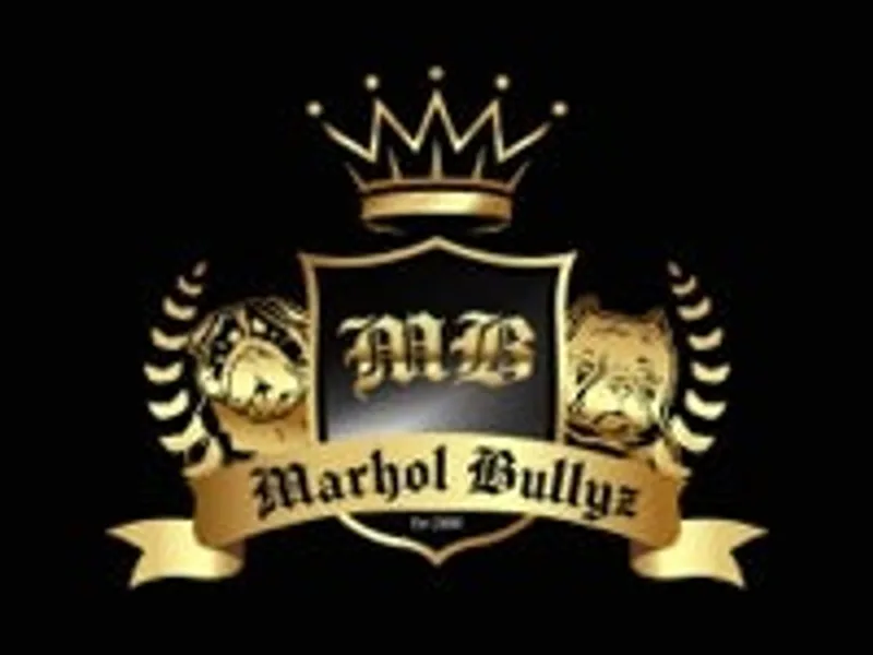MARHOL BULLYZ photo 1