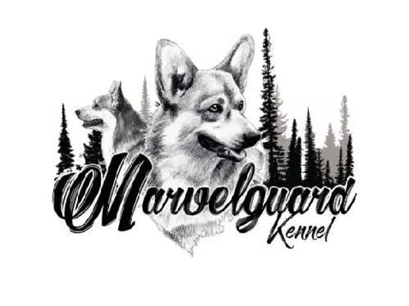 Marvelguard photo 1