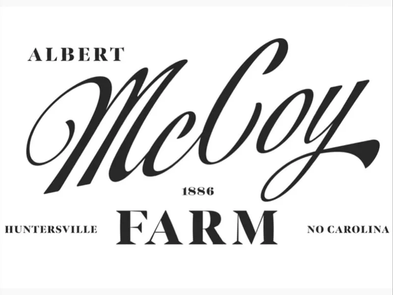 McCoy Farm Brittany’s, Huntersville NC