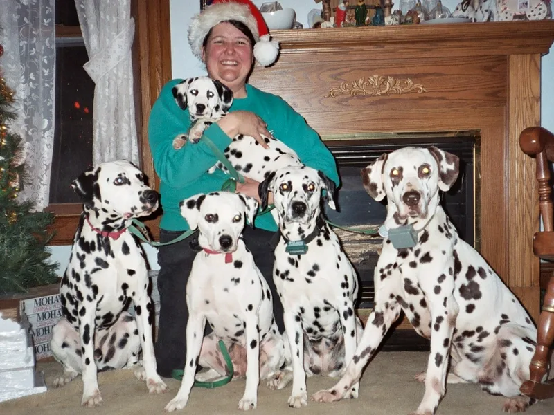 McDottie Dalmatians