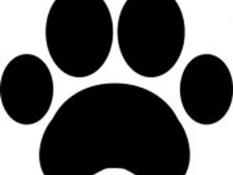 Mid South Puppies