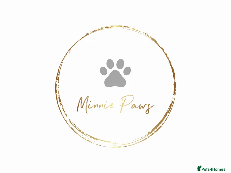 Minnie Paws photo 1