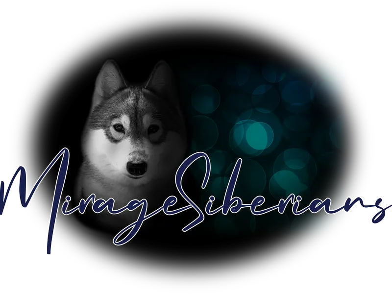 Mirage Siberians & Shibas