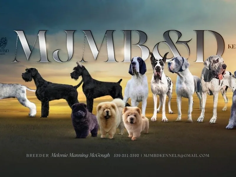 MJMB&D Kennels