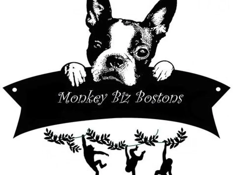 Monkey Biz Bostons