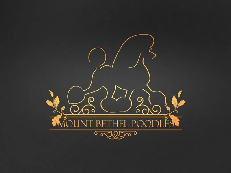 Mount Bethel Poodles