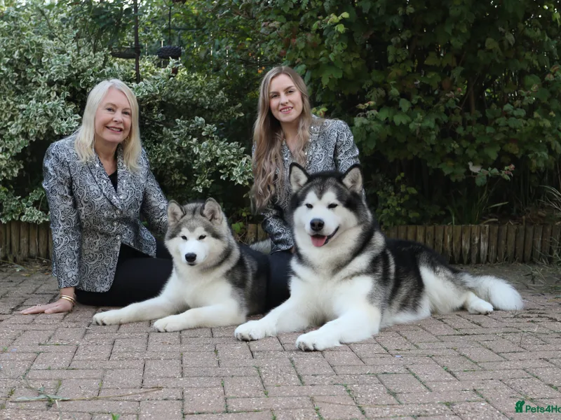  Mrs Jean Smith photo 1