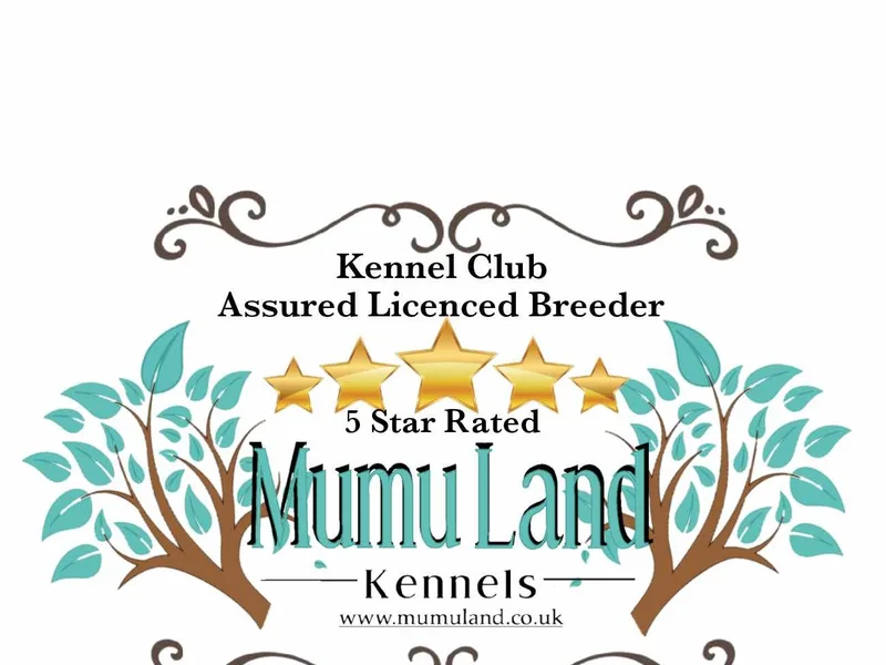 Mumuland photo 1