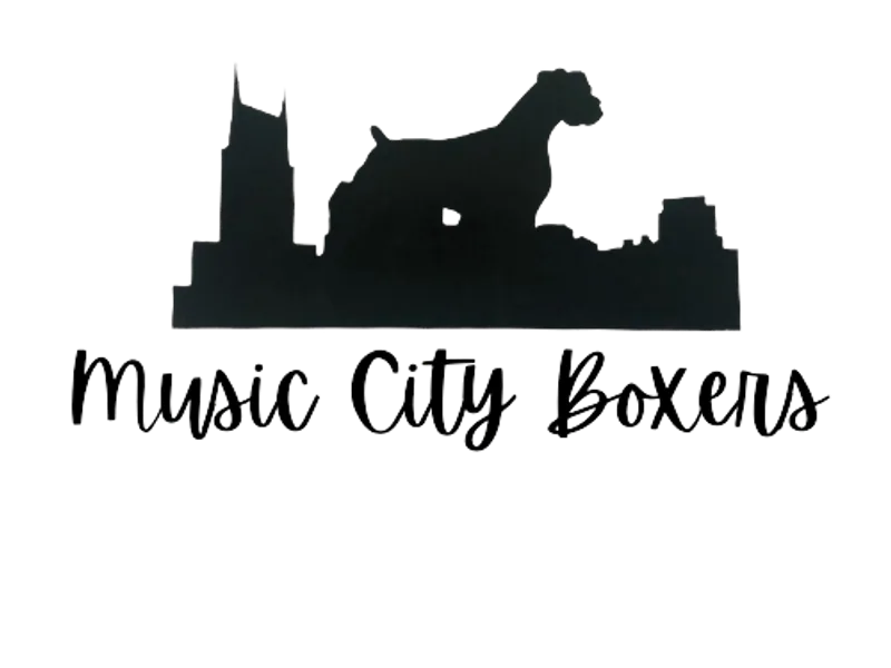 Music City Boxers