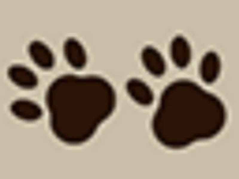 My precious puppy paws