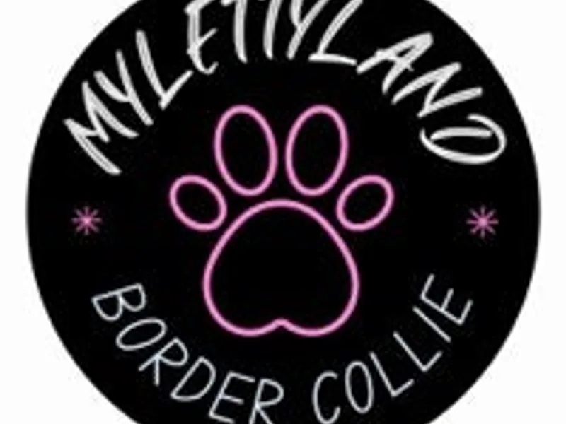 Mylettyland photo 1