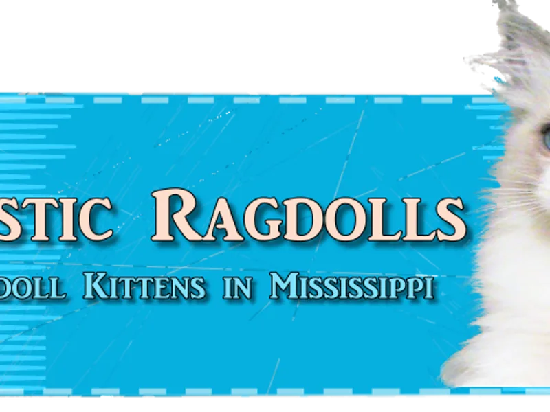 Mysticragdolls