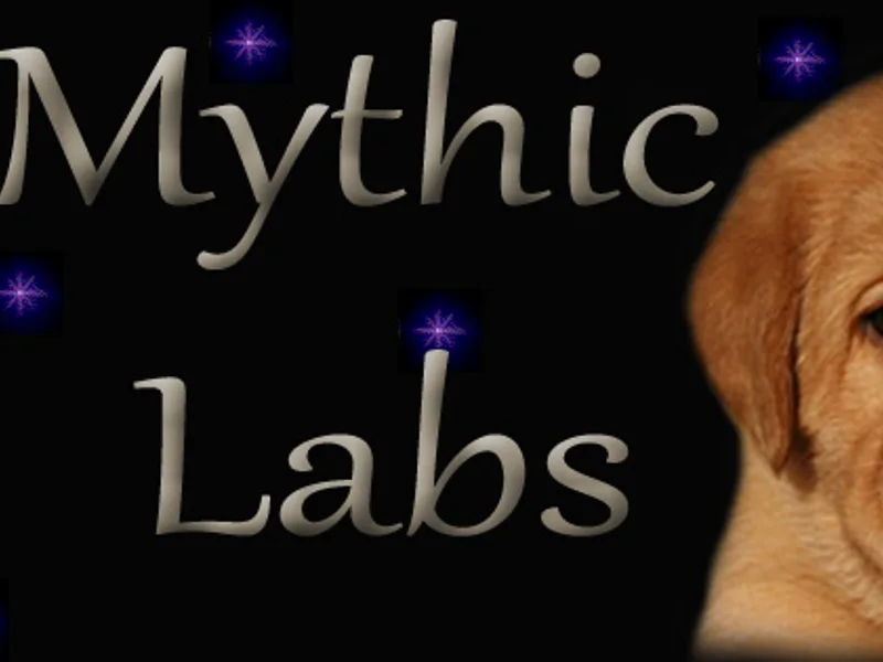 Mythic Labradors, LLC